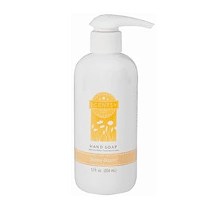 Scentsy Skinny Dippin’ Hand Soap
