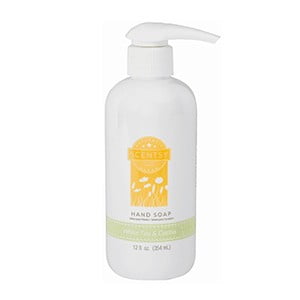 Scentsy White Tea & Cactus Hand Soap