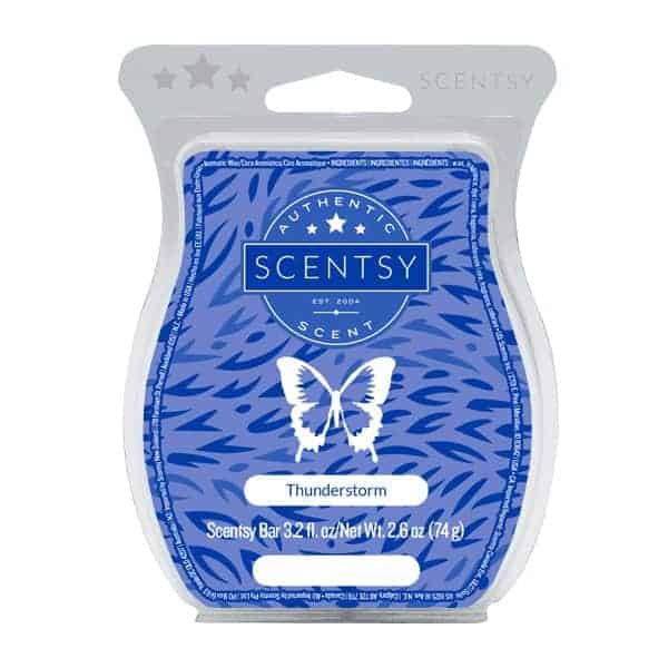 Thunderstorm Scentsy Wax Bar