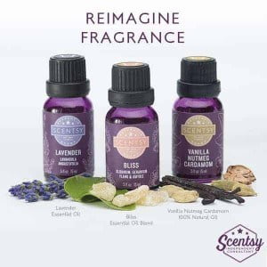Scentsy Oil