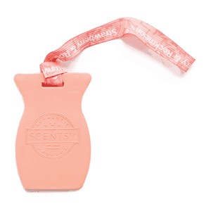 Strawberry & Rockmelon Car Bar