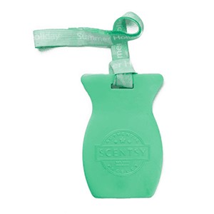 Summer Holiday Car Bar