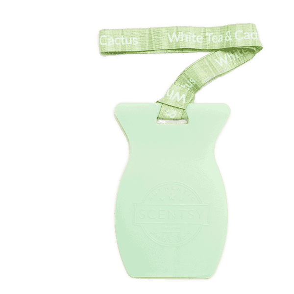 White Tea & Cactus Car Bar