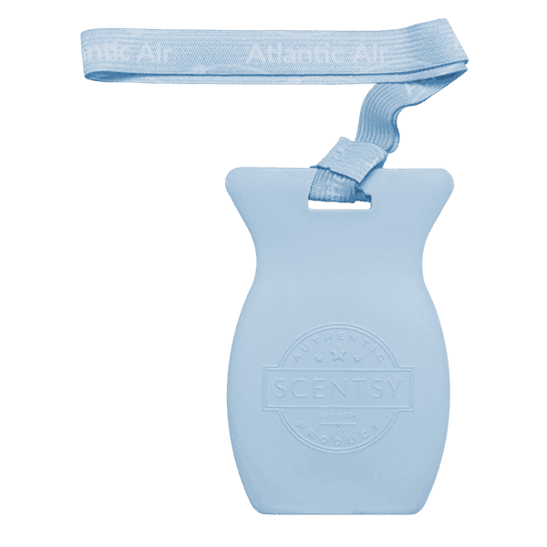 Atlantic Air Car Bar