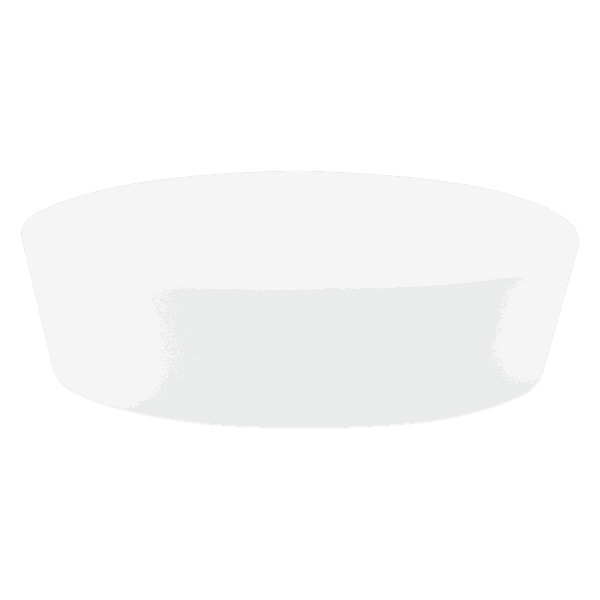 Rainforest Fern Dish Only