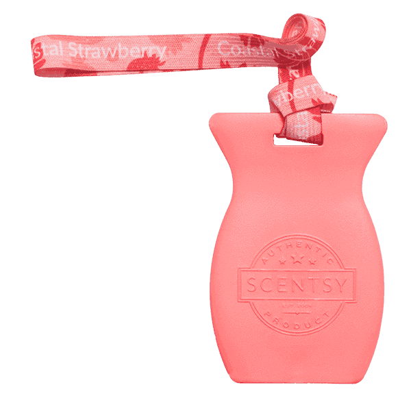 Coastal Strawberry Car Bar