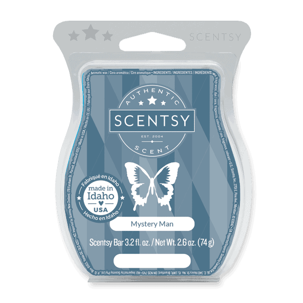Mystery Man Scentsy Bar