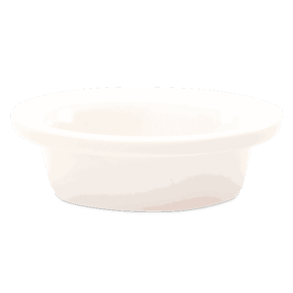 Dream Sparkle (bulb) - DISH ONLY