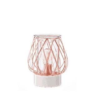 warmerwaxsystems-1-r2-r3