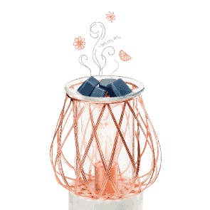 warmerwaxsystems-4-r2-r3