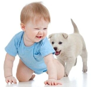 baby-boy-and-puppy_0