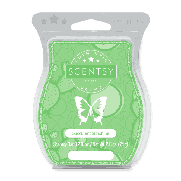 Succulent Sunshine Scentsy Bar