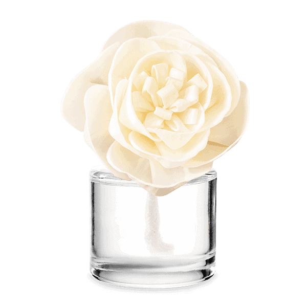 Fragrance Flower Buttercup Belle