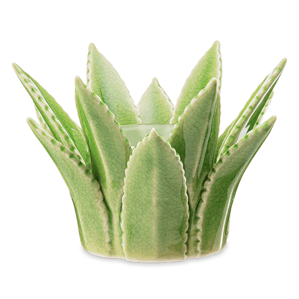 Aloe Vera - Scentsy Warmer