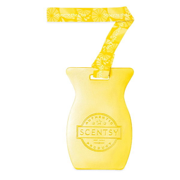 Squeeze the Day Car Bar