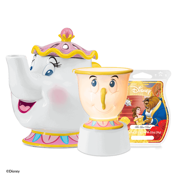 Be Our Guest Bundle (Table Top)