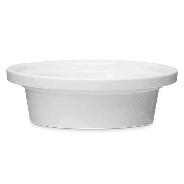 Flight of the Monarch - DISH ONLY