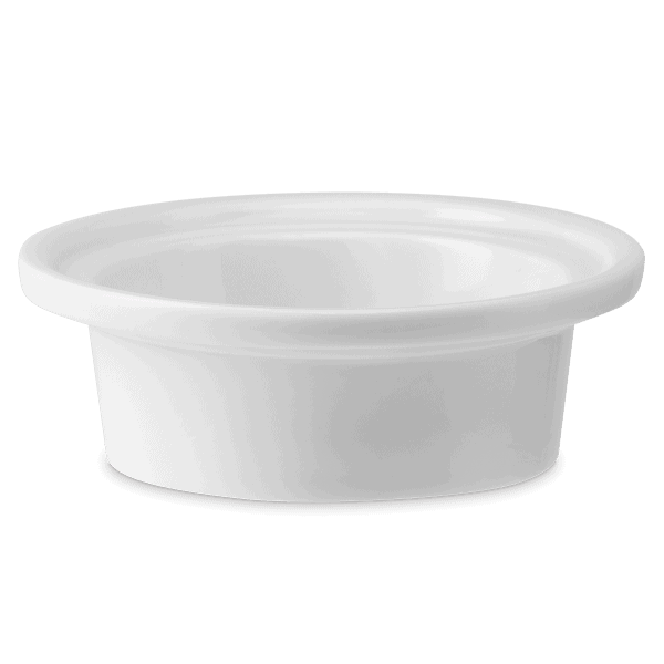 See the Good Replacement Dish