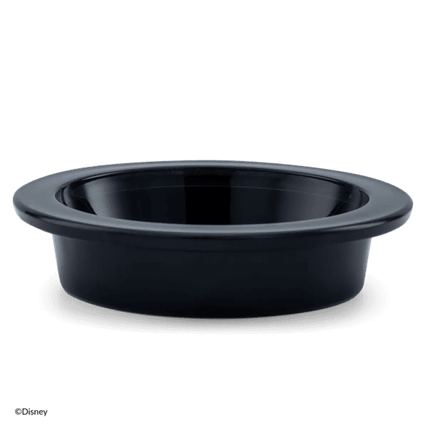 Disney Drive-In Replacement Dish