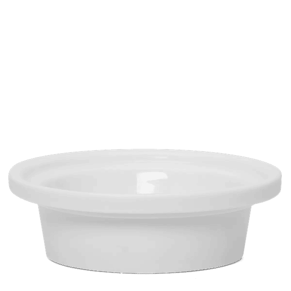 Let's Get Batty Replacement Dish