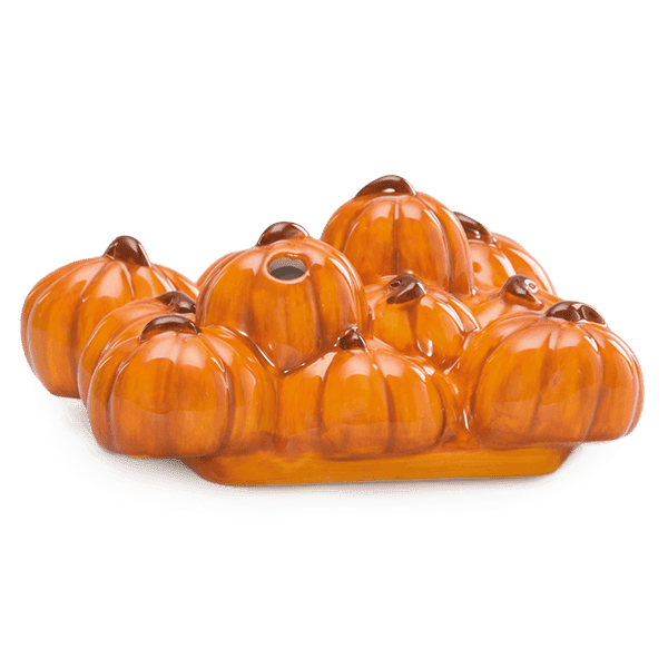 Pumpkin Delivery Replacement Lid