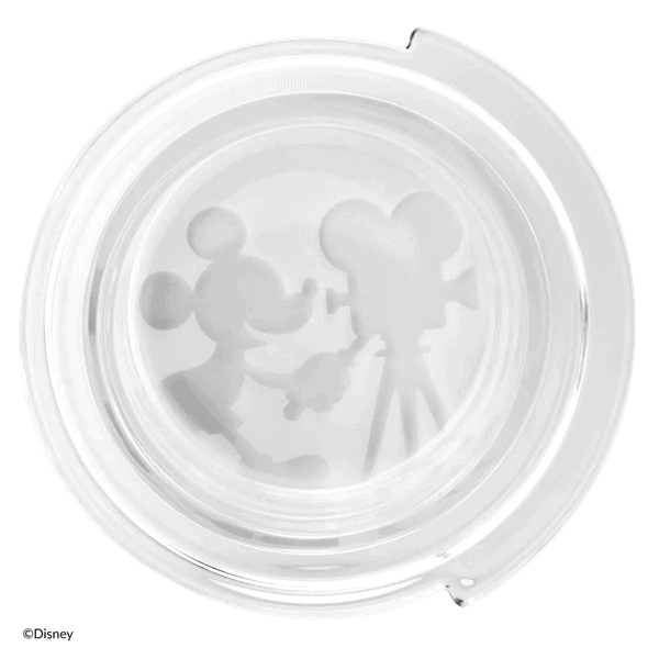 Disney 100th Celebration Replacement Dish