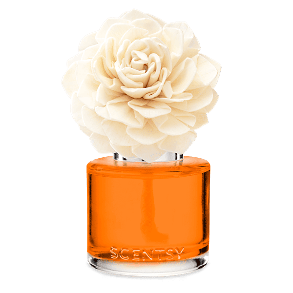 Simply the Zest - Dahlia Darling Fragrance Flower - Image 2