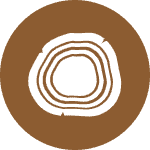 Woods Fragrance Category