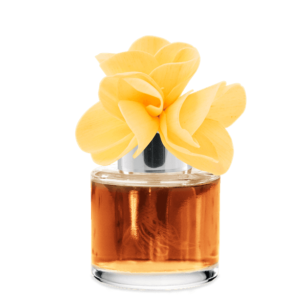 Soft Plumeria - Garden Bouquet Fragrance Flower