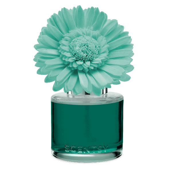 Water Lily & Bergamot - Dainty Daisy Fragrance Flower