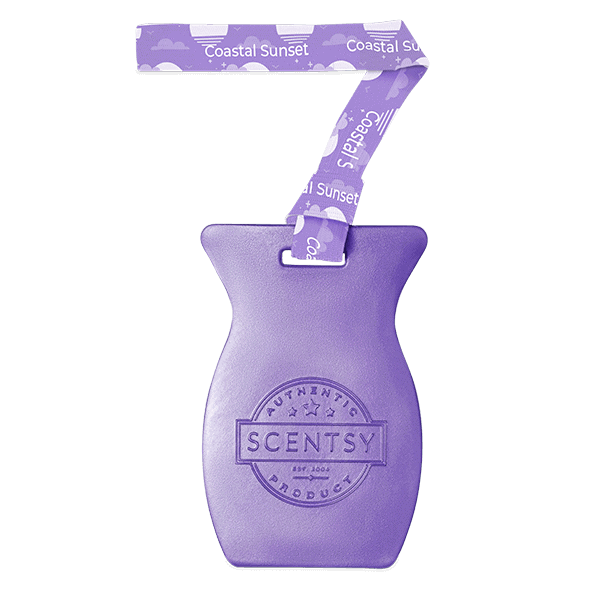 Coastal Sunset Car Bar