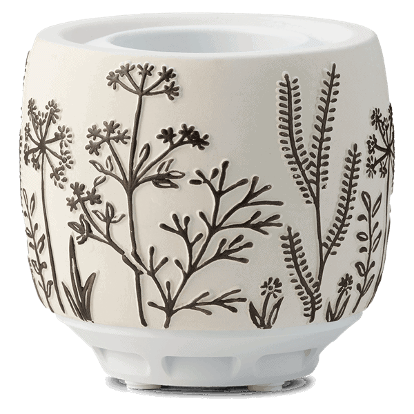 Scentsy Air - Dandelion Daze