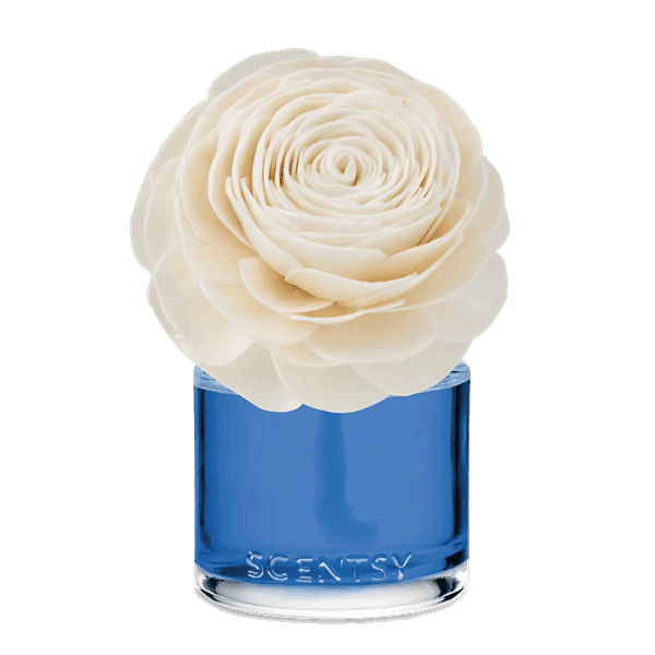 Coastal Rain Cove - Prim Posy Fragrance Flower