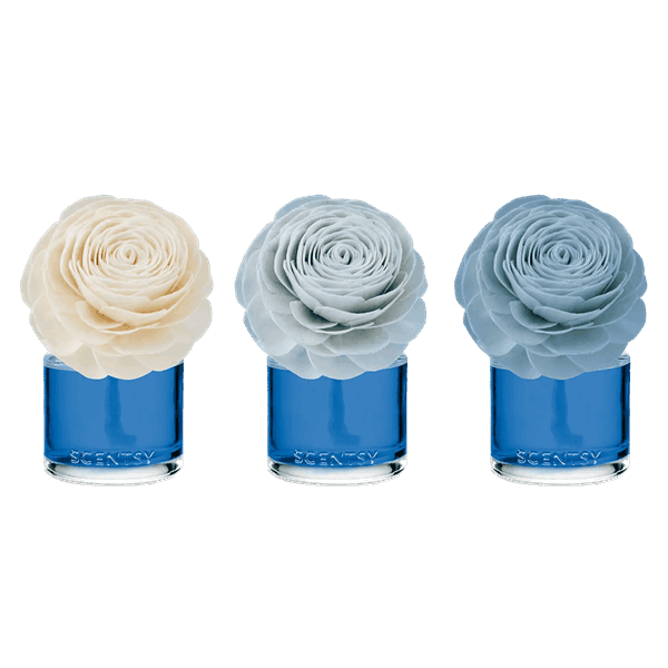 Coastal Rain Cove - Prim Posy Fragrance Flower