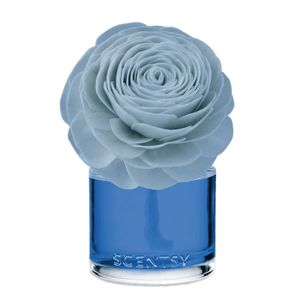 Coastal Rain Cove - Prim Posy Fragrance Flower