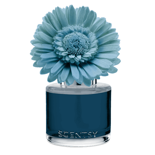 Sorrento Breeze - Dainty Daisy Fragrance Flower