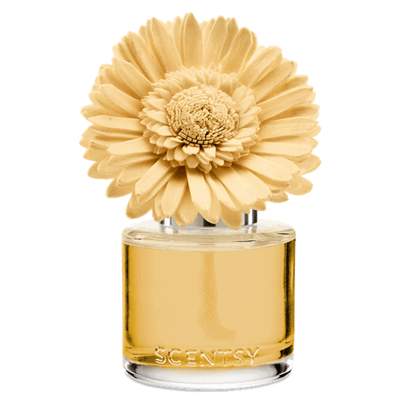 Sun-Drenched Cotton - Dainty Daisy Fragrance Flower