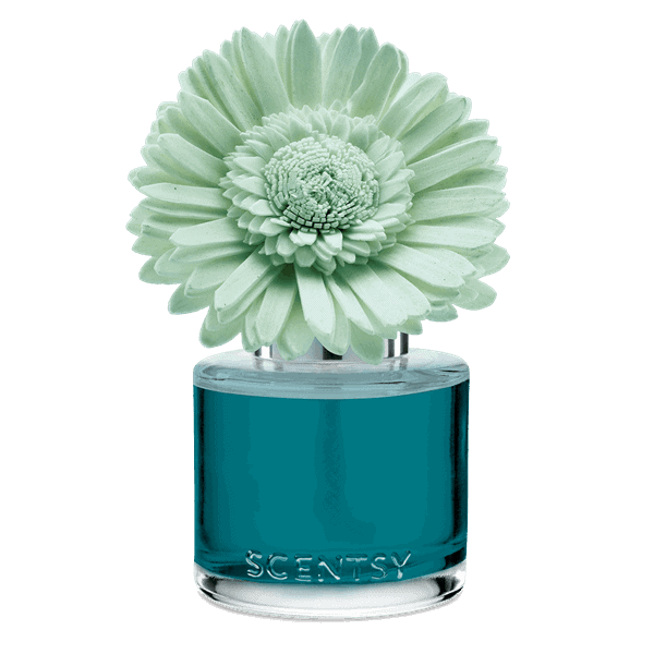 Wild Seaside - Dainty Daisy Fragrance Flower