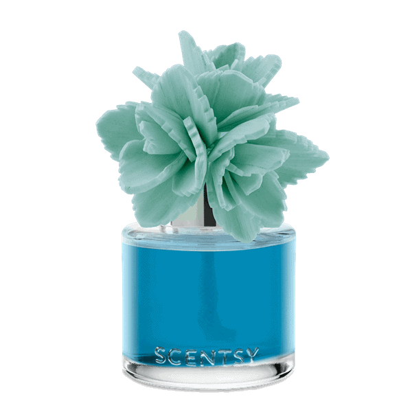 Wildflowers & Sage - Elegant Echeveria Fragrance Flower