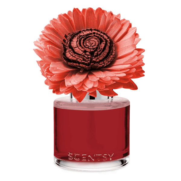 Cider & Crimson Berries - Stunning Sunflower Fragrance Flower