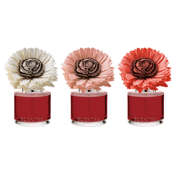 Cider & Crimson Berries - Stunning Sunflower Fragrance Flower