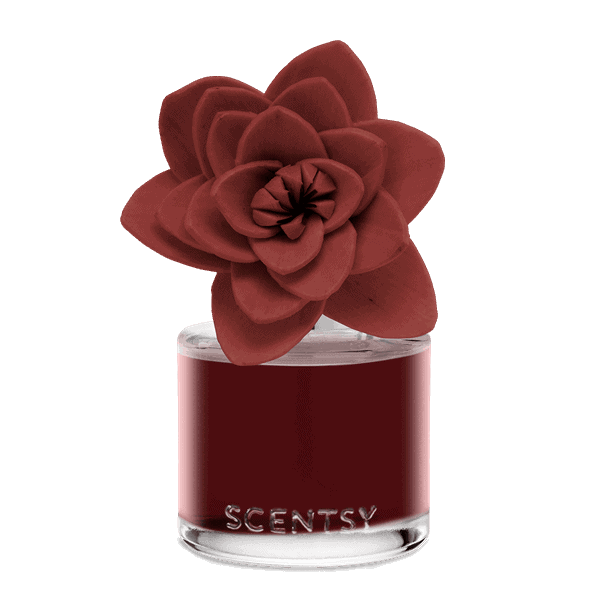 Festive Fruit Punch - Natural Poinsettia Fragrance Flower