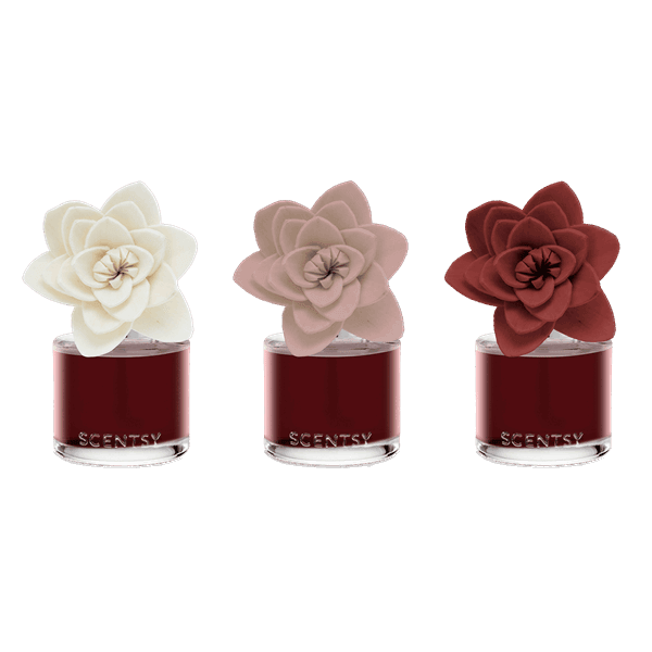 Festive Fruit Punch Natural Poinsettia Fragrance Flower