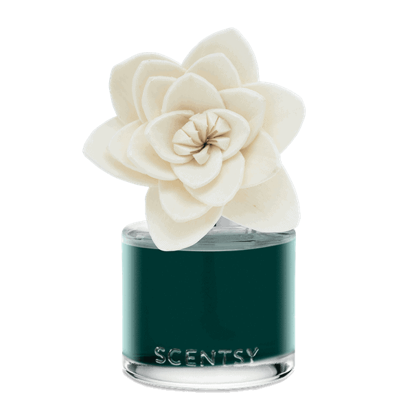 Jingle Bell Blooms Natural Poinsettia Fragrance Flower