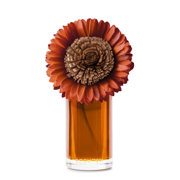 Pumpkin Honey Spice - Large Stunning Sunflower Fragrance Flower