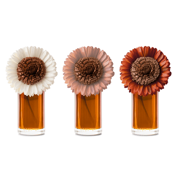 Pumpkin Honey Spice - Large Stunning Sunflower Fragrance Flower