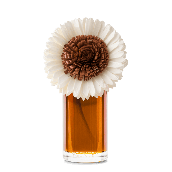 Pumpkin Honey Spice - Large Stunning Sunflower Fragrance Flower