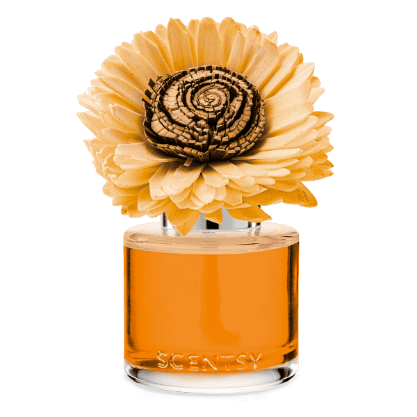 Spiced Pecan Crème - Stunning Sunflower Fragrance Flower