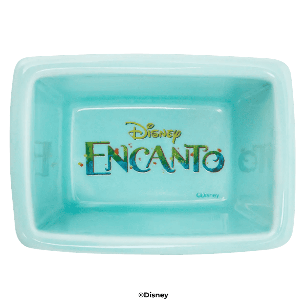 Disney Encanto Replacement Dish
