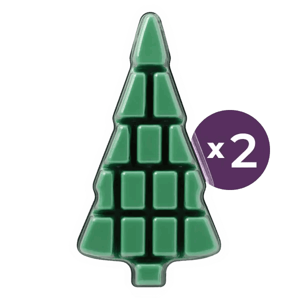 2025 Holiday 2-Brick Bundle